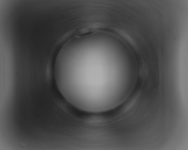 X0000100780256200807031237