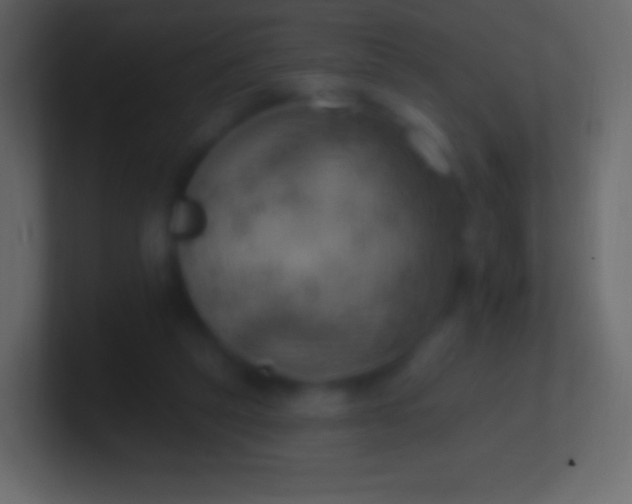 X0000100780257200807031237