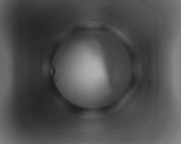 X0000100780259200807031237