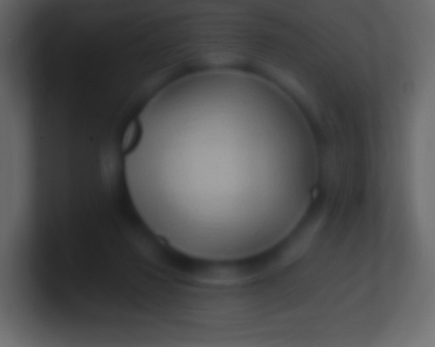 X0000100780260200807031237