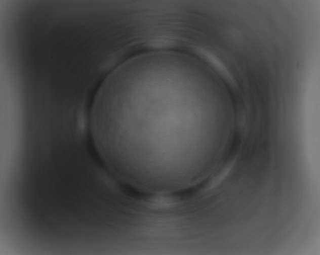 X0000100780261200807031237