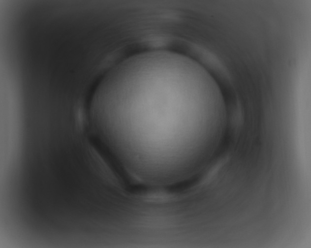 X0000100780262200807031238