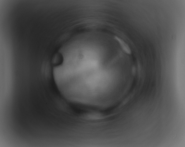 X0000100780266200807031238