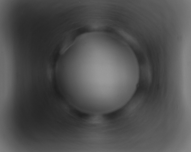 X0000100780269200807031238