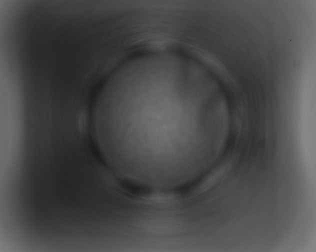 X0000100780270200807031238