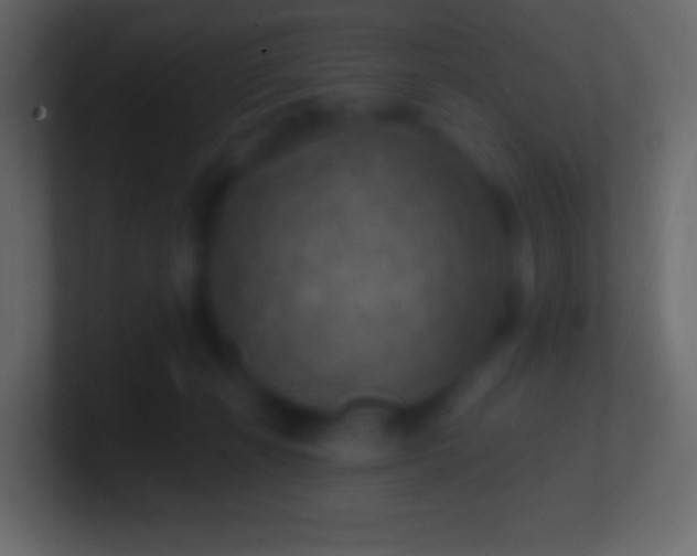 X0000100780271200807031238