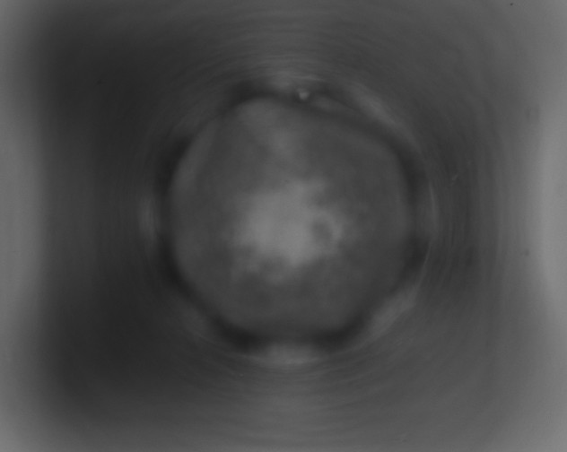 X0000100780272200807031238