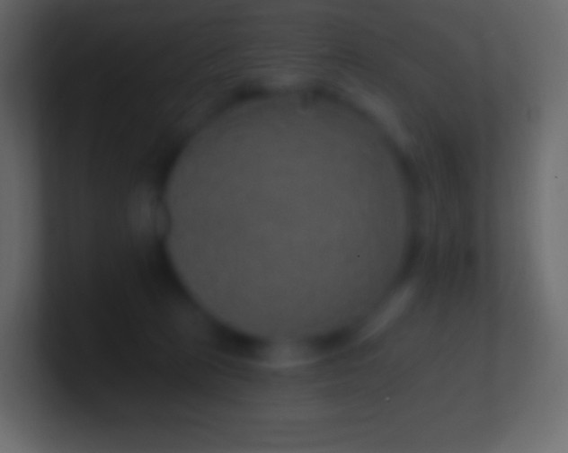 X0000100780273200807031238