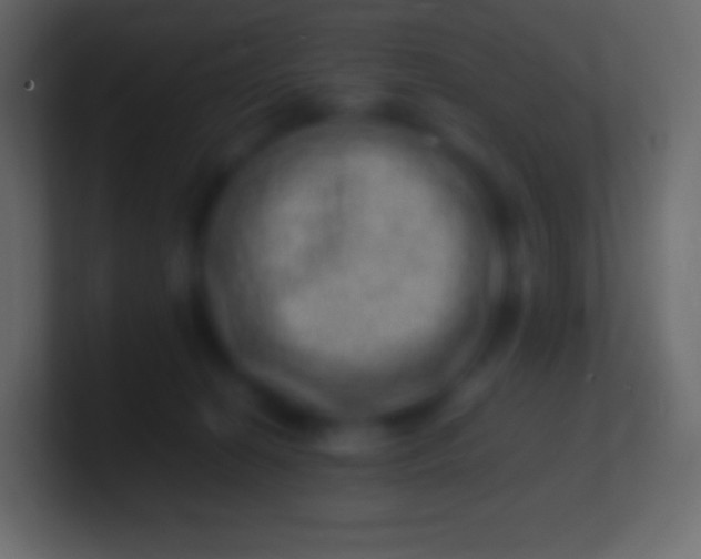 X0000100780274200807031238