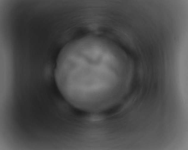 X0000100780275200807031238