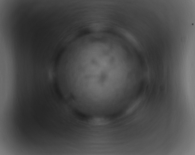 X0000100780277200807031238