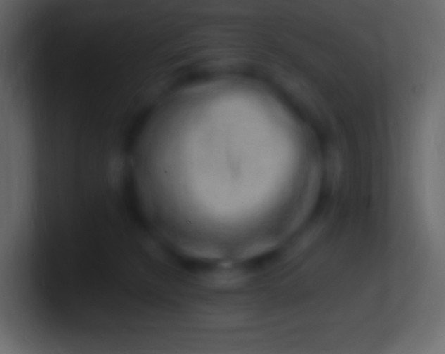 X0000100780278200807031238