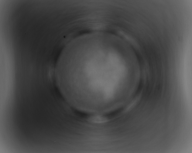 X0000100780281200807031238