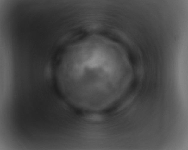 X0000100780282200807031238