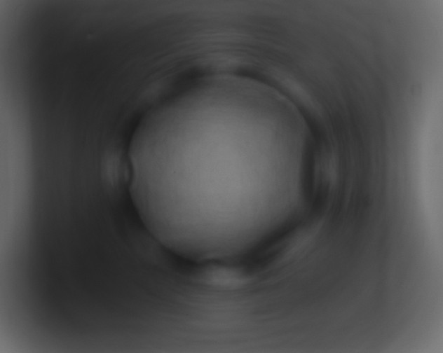 X0000100780283200807031238