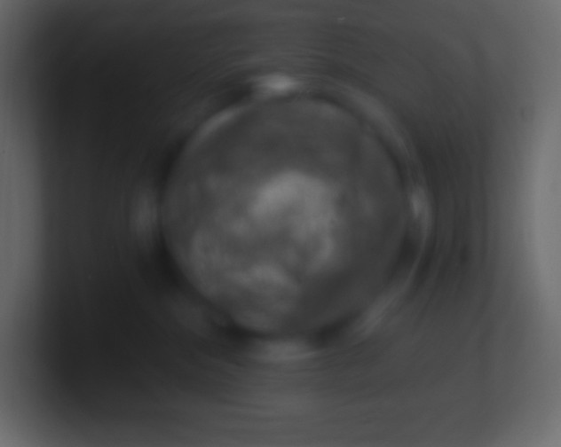 X0000100780284200807031238