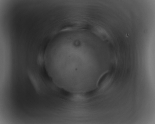 X0000100780285200807031238