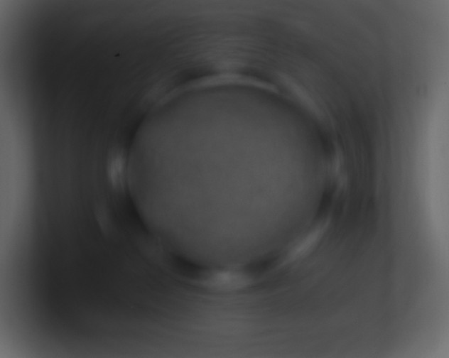 X0000100780286200807031238