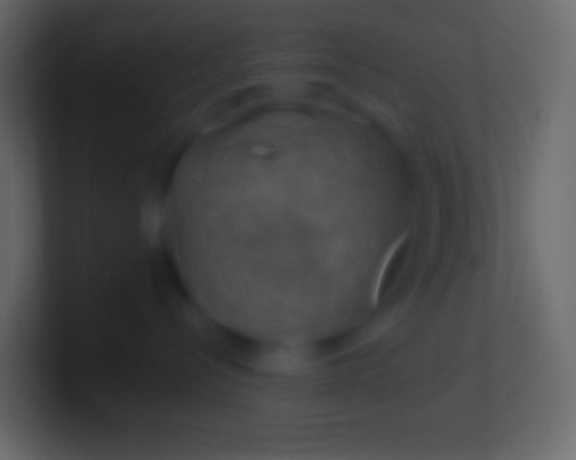 X0000100780288200807031238