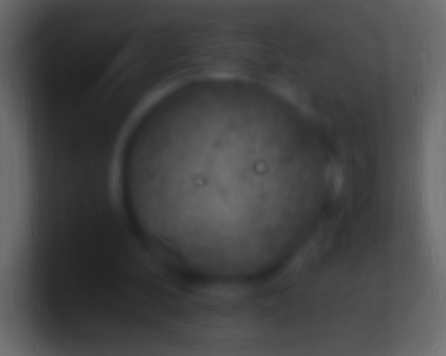 X0000100780292200807031237