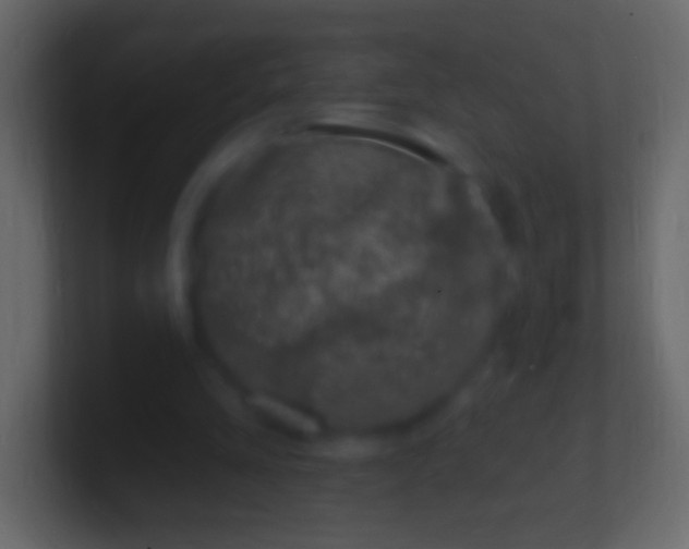 X0000100780293200807031237