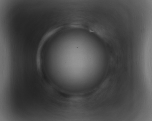 X0000100780294200807031237