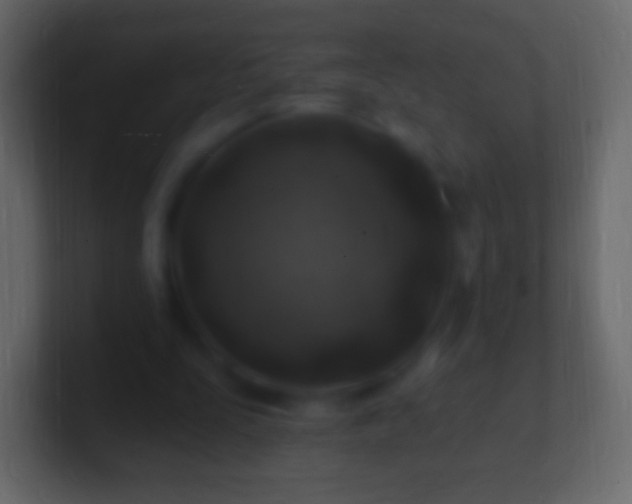 X0000100780295200807031237