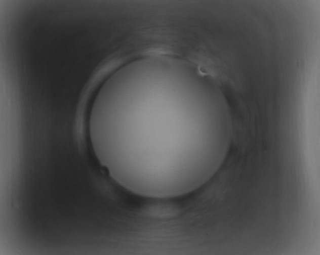 X0000100780296200807031237