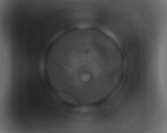 X0000100780297200807031237