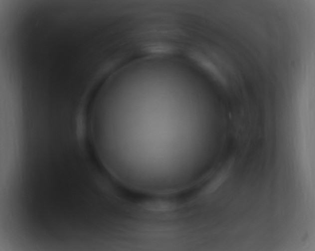 X0000100780299200807031237