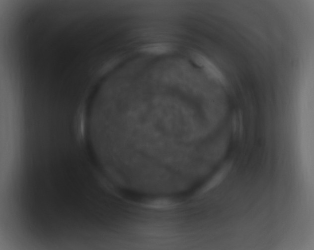 X0000100780301200807031237