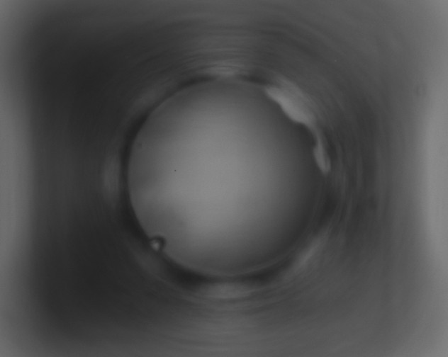 X0000100780303200807031237