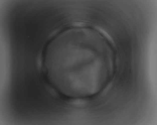 X0000100780305200807031237