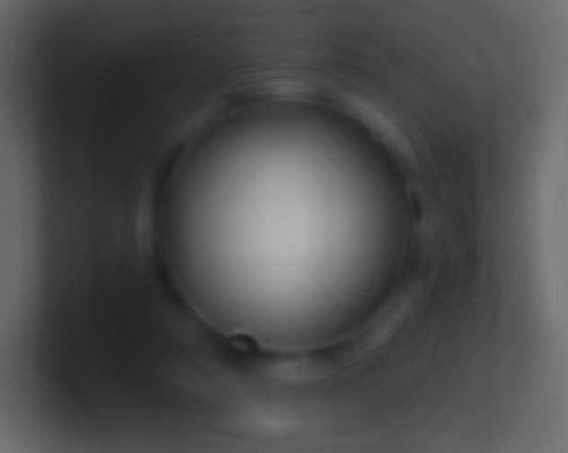 X0000100780306200807031237