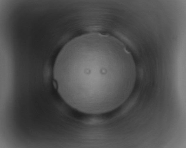 X0000100780308200807031237