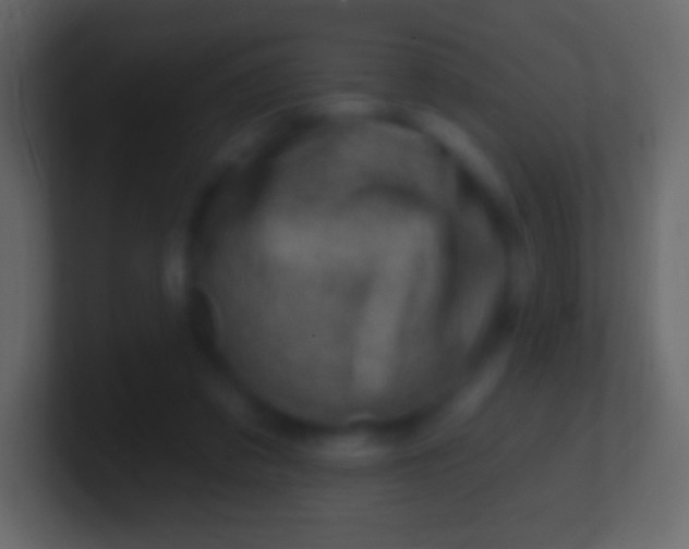 X0000100780309200807031237