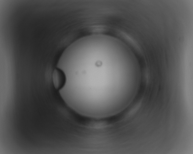 X0000100780311200807031237