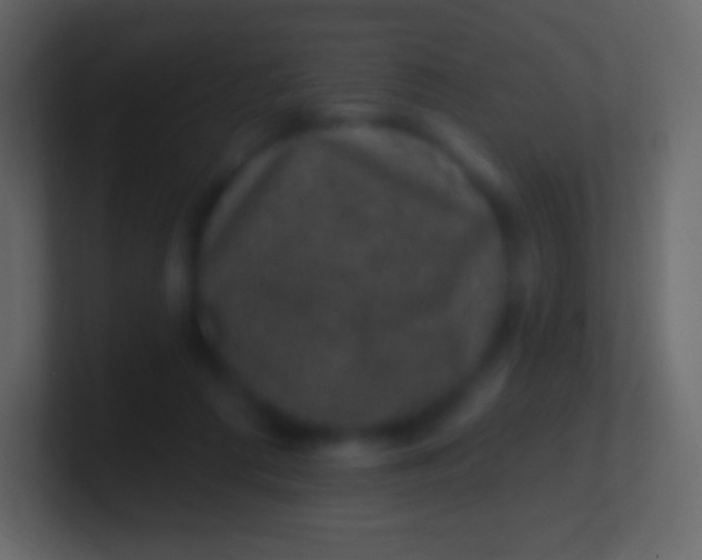 X0000100780312200807031237