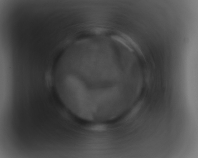 X0000100780313200807031237