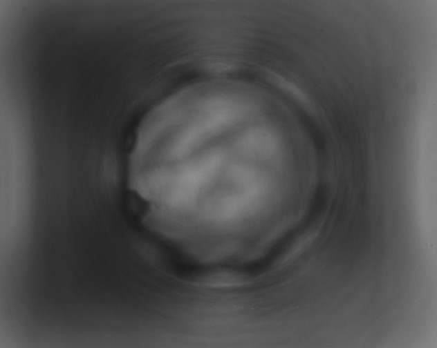 X0000100780315200807031237