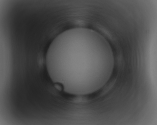 X0000100780320200807031237