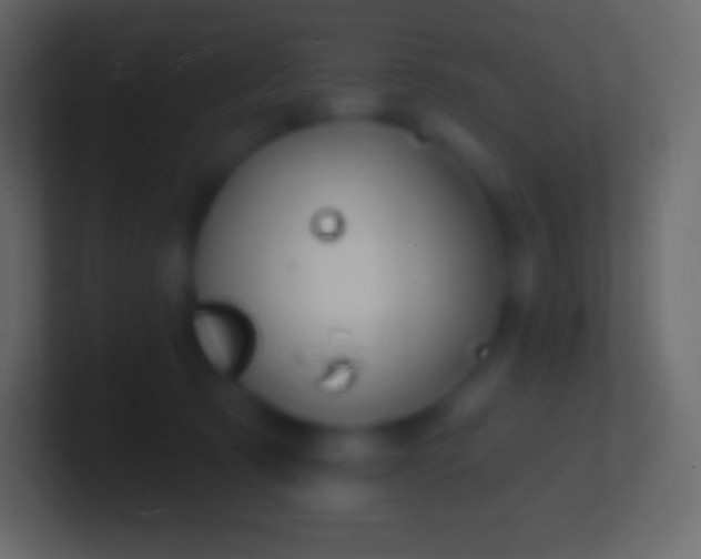 X0000100780321200807031237