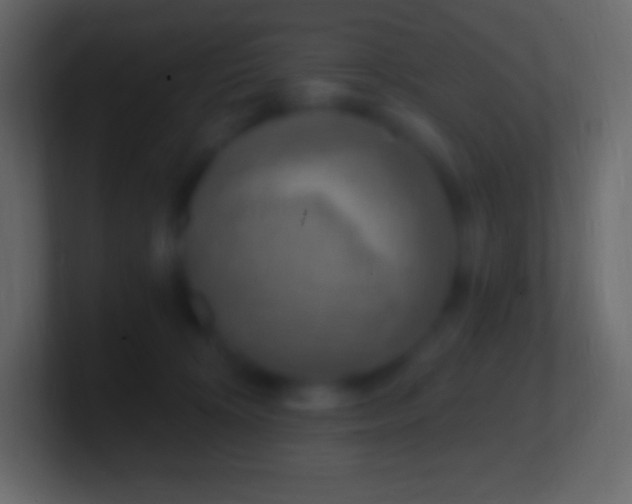 X0000100780324200807031237