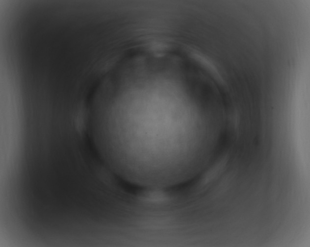 X0000100780325200807031237