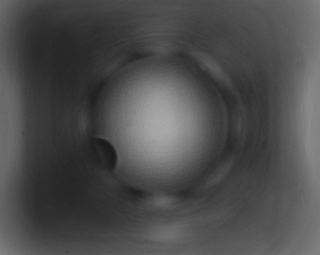 X0000100780326200807031237