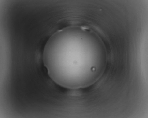 X0000100780327200807031237