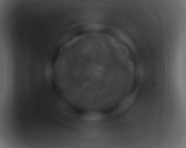 X0000100780328200807031237