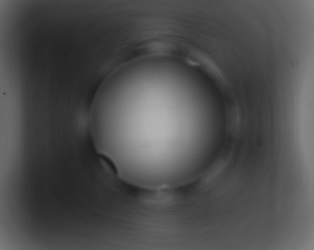 X0000100780329200807031237