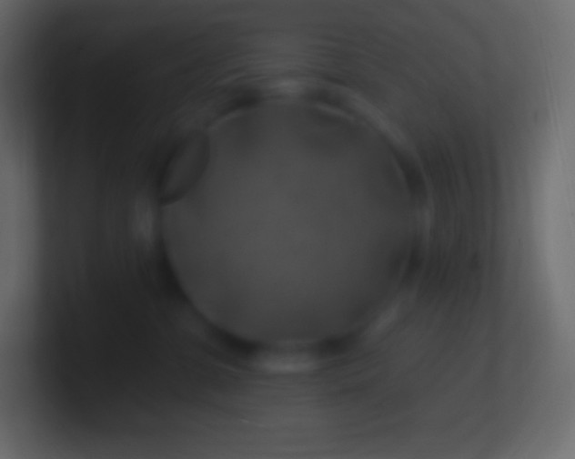 X0000100780331200807031237