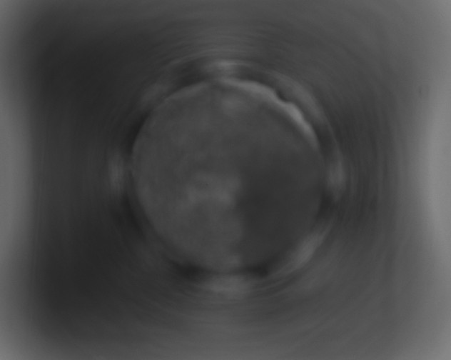 X0000100780332200807031237